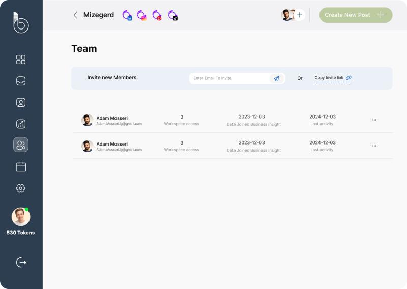 Business Insight Team Screenshot